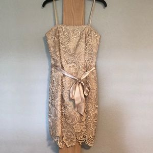 Adrianna Papell Champagne Colored Dress Size 4